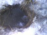 DSC01279.JPG