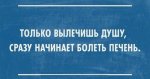 9824240.jpg
