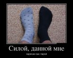 1497471373_demotivatory_18.jpg