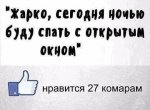Комары.JPG