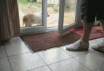 gifs_17.gif