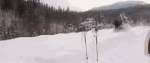 gifs_18__.gif