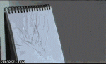 gifs_09 (2).gif
