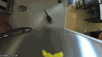 gifs_01.gif