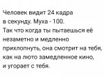 муха.jpg