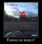 1473134011_021.jpg