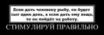 1418122516_020.jpg