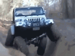 gifs_02.gif