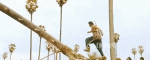 1150215_original.gif