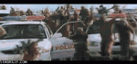 Без названия (1).gif