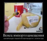 1491024444_015.jpg