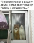 10226986.jpg