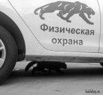 1504664163_024.jpg