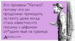 хатико.jpg