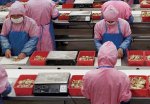 chine_factory.jpg