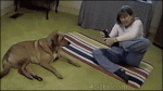 tumblr_msu9a8NTNL1qljj91o1_400_yapfiles.ru.gif