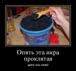 1490857393_demki-10.jpg