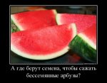 1502514927_010.jpg