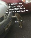 dlrovojvojkonpf2g9ih.jpg