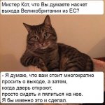 eu63xrrfn36snpuudimz.jpg