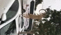VID-20180107-WA0002 (convert-video-online.com) (1).gif