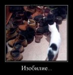 1507614030_demotivatory-3.jpg