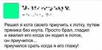 1475069686_kommentarii-13.jpg