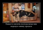 1516866438_demotivatory-9.jpg