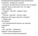 сарделька.jpg