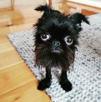 КВАДРАТИШ ПРАКТИШ ГУТ.jpg