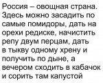 овощи.jpg