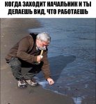 11412514.jpg