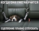 1438104199_fotomemy-21.jpg