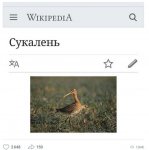 foto-prikoly-tocu8n5lwsoj-007.jpg