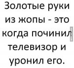 11589797.jpg