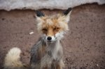 IMG-20180617-WA0002.jpg