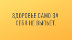 zdor.png