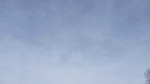 20200305_095438-1583391363862.gif