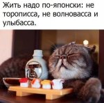 японский.jpg