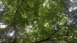 20200908_112053-1599553772570.gif