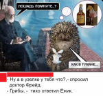 ёжик.png