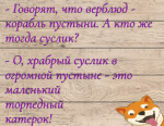 upload_2021-2-17_9-31-31.png