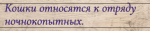 upload_2021-2-17_9-32-9.png