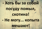 upload_2021-8-12_8-56-45.png