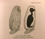 16202270_original.jpg