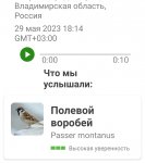 Screenshot_20230529-181430.jpg