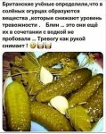 огурцы.jpg