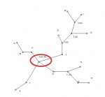 вариант 2.jpg