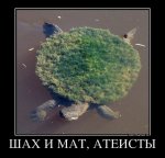 49703038_shah-i-mat-ateistyi.jpg