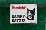 kampf katze.jpg